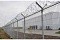 Спираль из армированной колючей ленты СББ АКЛ "Грюза" диаметр 450мм/40 витков/3клепли 10м ГОСТ 3282-74