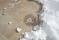 Клинкерные ступени и плитка Stroeher Aera 730 beseno